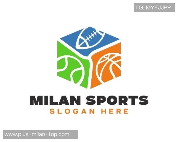 2014年法国足球队的辉煌历程与世界杯征战背后的故事与启示